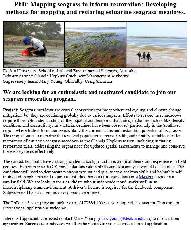 Announcing a new PhD opportunity working with yours truly on seagrass mapping and acoustics, population genetics, and restoration!!! Please share widely and if you're interested get in contact with @mary_a_young via the email in the pic.