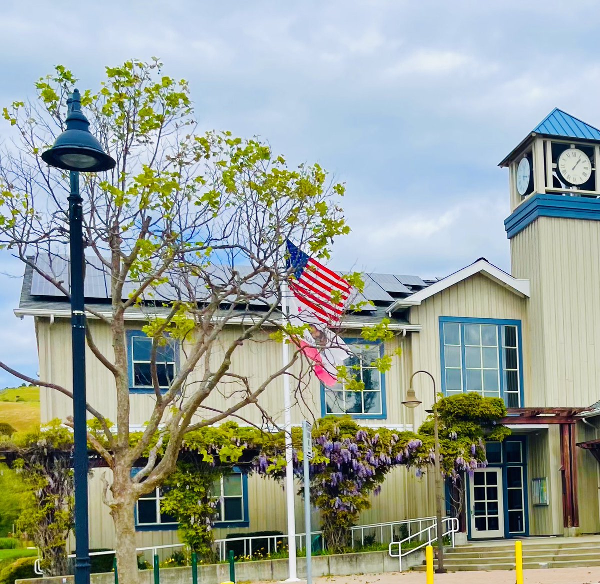 Wisteria at the Tiburon Town Hall.  Wow. Just wow.