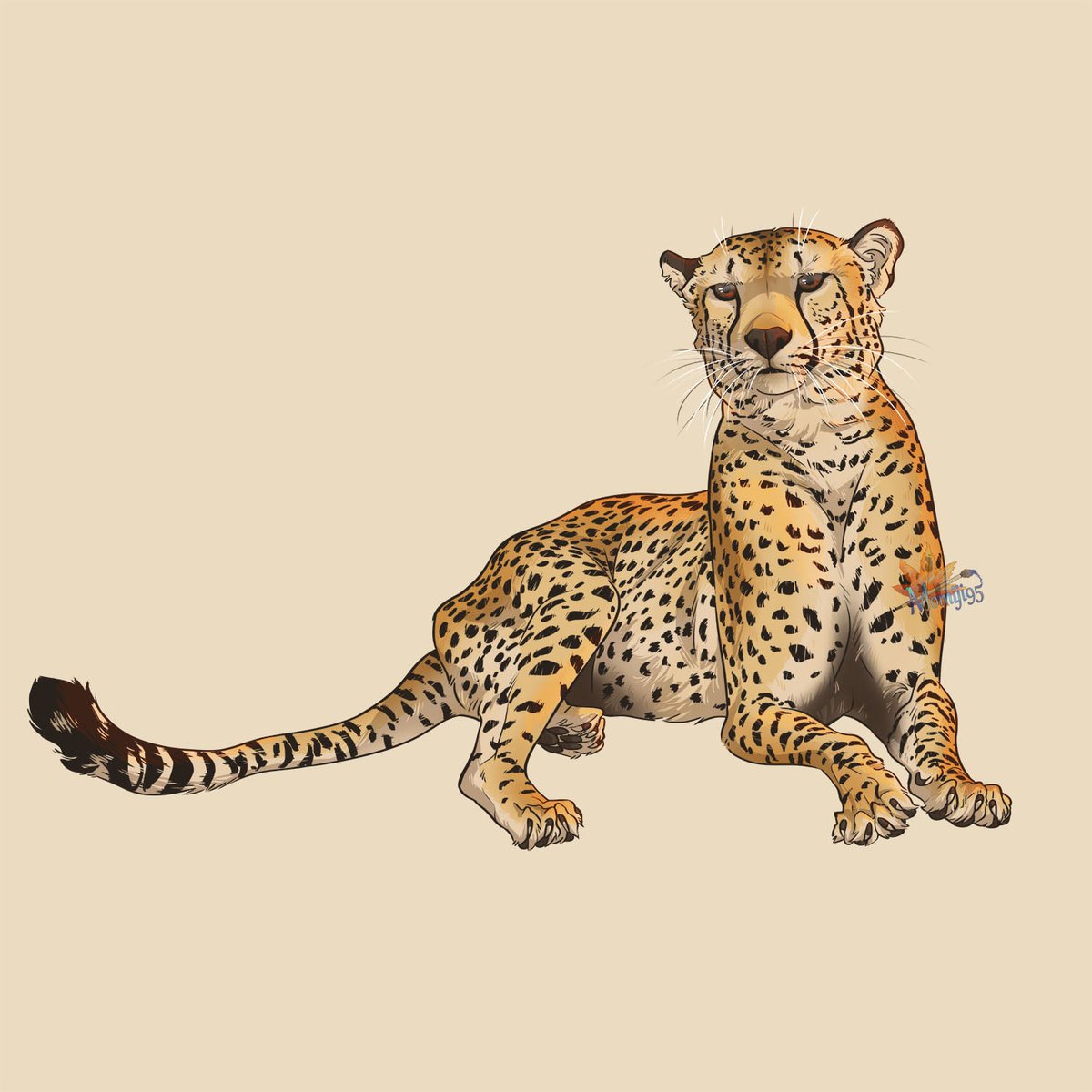 Momiji95's tweet photo. Another teaser for my next series of stickers! Those aren't the final designs, there will be a lil' surprise...

#cheetah #cheetahart #cheetahdrawing #bigcat #bigcats #animal #animals #animalart #animaldrawing #animalartist #feline #wildlife #wildlifeartist #digital_art #momiji95 https://t.co/LsRPHAk2QN