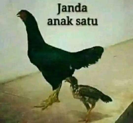 Jamess Bone tweet media