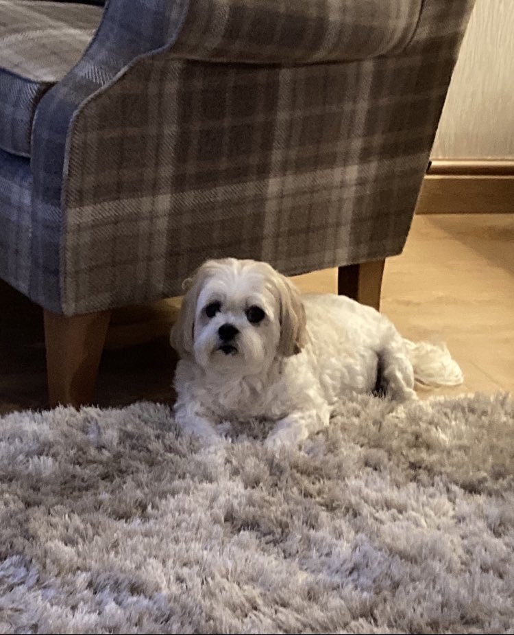 JoLuvs2Shop's tweet photo. @Phil_Sledge My little princess 💗 https://t.co/9tBBi2GYnG