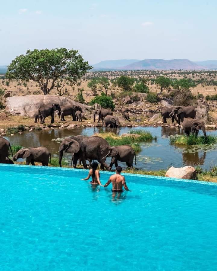 Serengeti National Park, Tanzania 🇹🇿