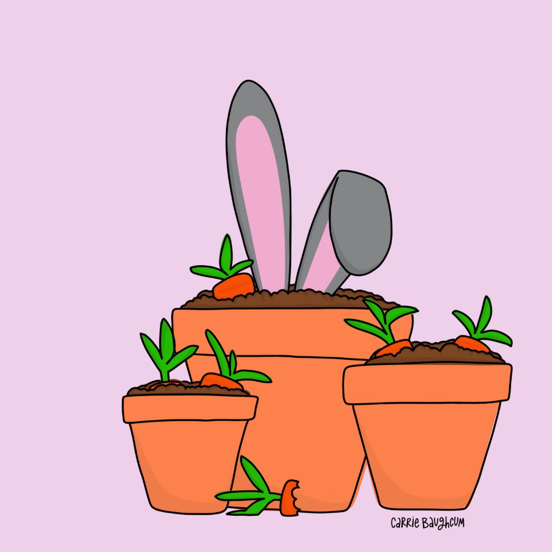 Day 48, 49 and 50 of my #100DayProject2024: Potted plants and carrots beware. #BewareOfShinanigans #AllEars #StanleyAndFriends #FloppyCuties #Fluffle