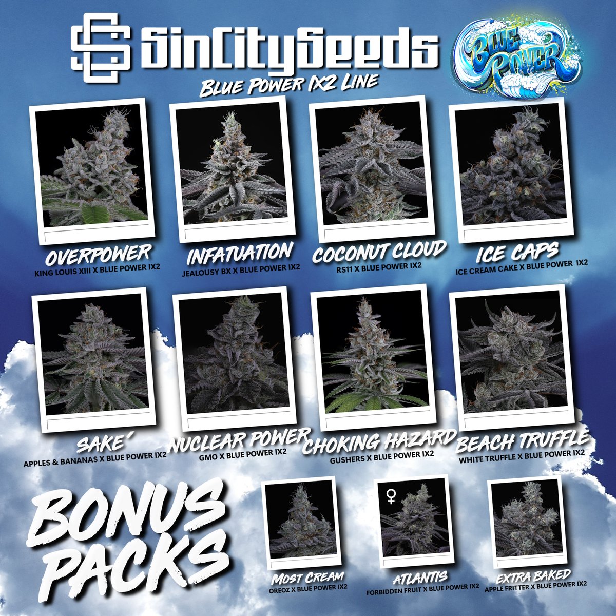 lusciousgenetic's tweet image. If you haven&apos;t had a chance to grab a pack of the Blue Power IX2 crosses by @SinCitySeeds  for the collection, stop sleeping and snag a pack or two!
lusciousgenetics.com/sin-city-seeds/
#cannabiscommunity #420sale #freetheseeds #newgear #timetoshop