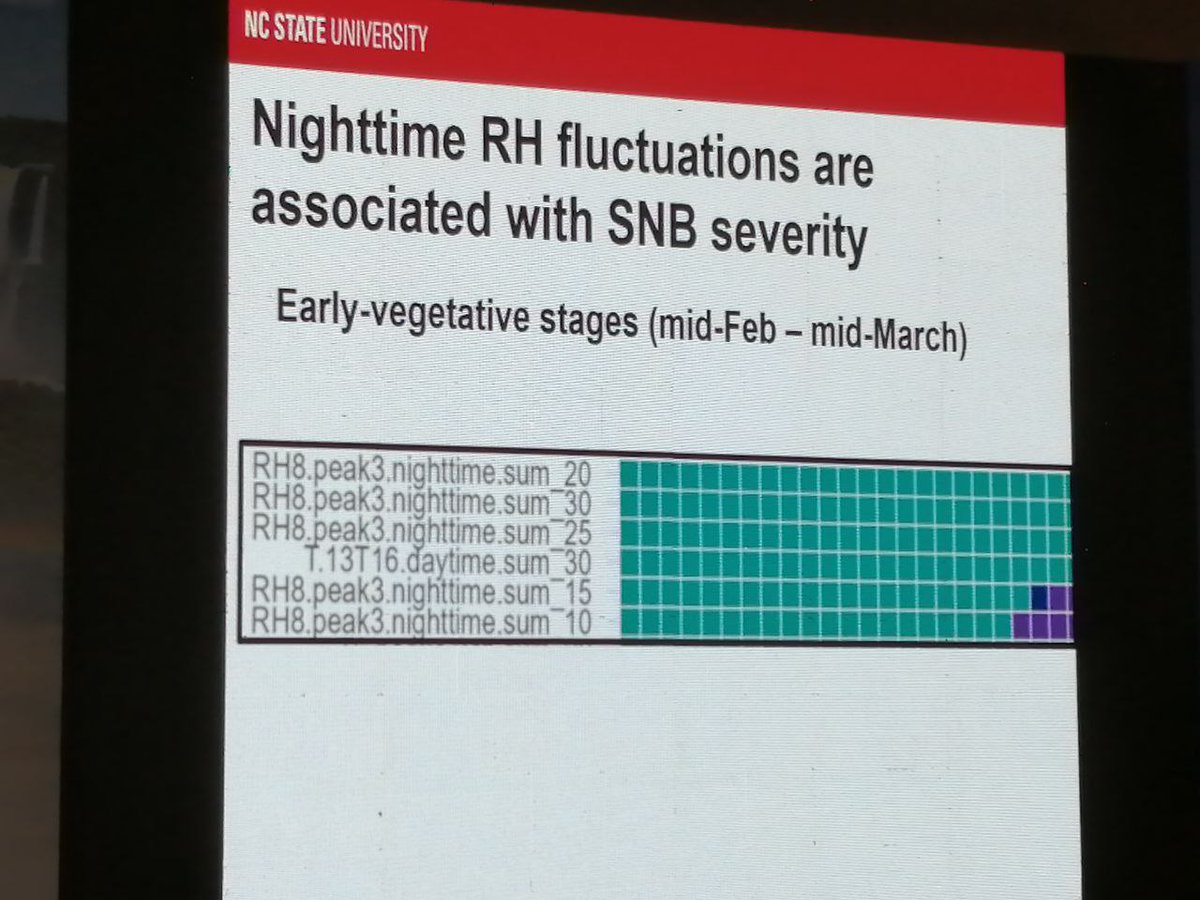 Vinicius Garnica presents novel weather variables associated with epidemics of Stagonospora nodorum blotch in wheat via improved window-pane analysis: night time relative humidity fluctuations important & consistent with pathogen biology; Peter Ojiambo's lab @NCSU_DEPP #iew13