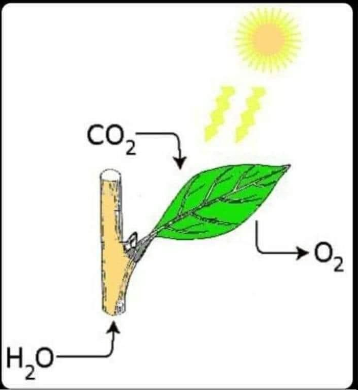 Wenn die Jünger der Klimasekte doch nur diesen einfachen Zusammenhang verstehen würden!🧐