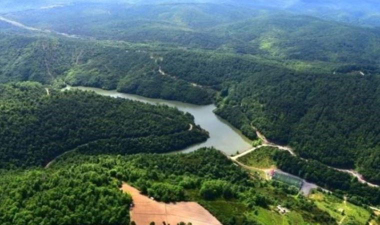 Adrese teslim talan! Beykoz’da ormanlık alanların da bulunduğu birçok alanın sit derecesi düşürüldü cumhuriyet.com.tr/cevre/adrese-t…