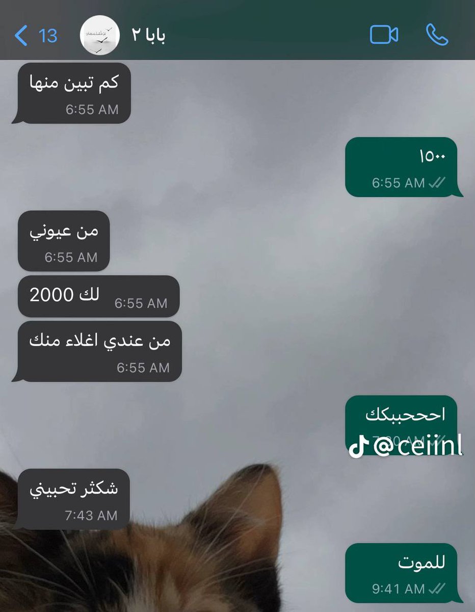 قورجس tweet media