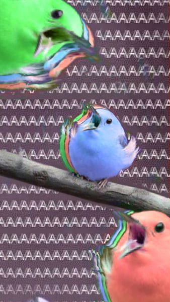 QUE NO SOY UN SEÑOR