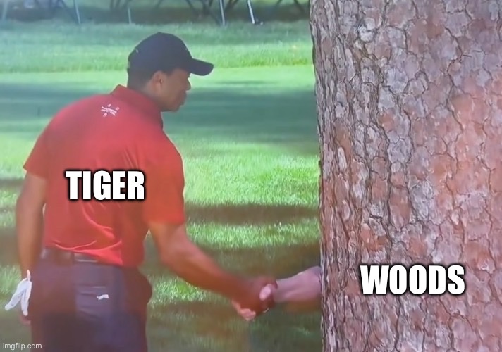 #themasters