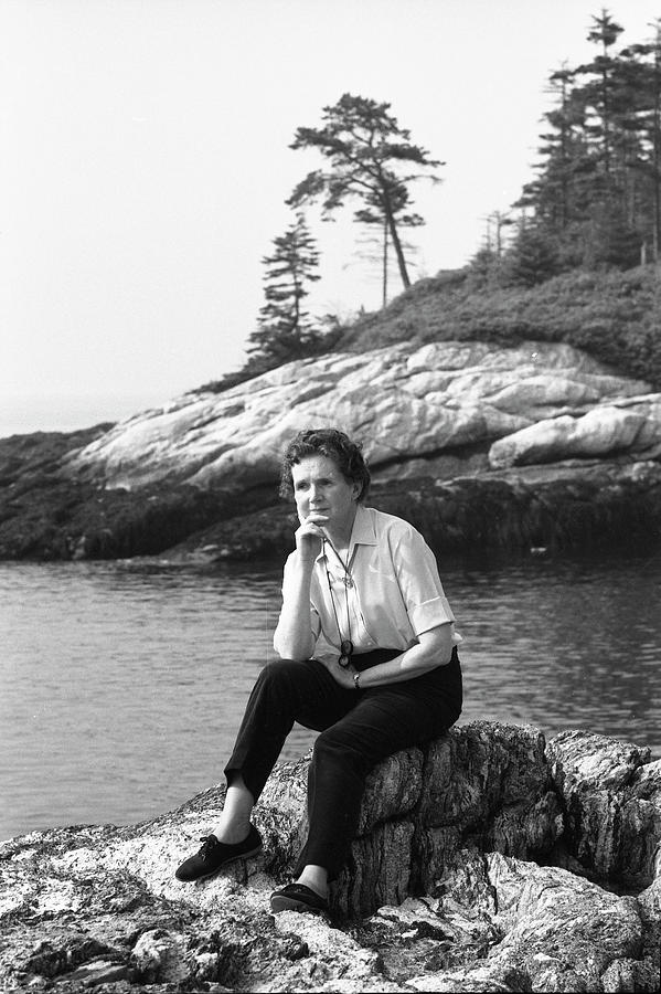 “It is a wholesome and necessary thing for us to turn again to the earth and in the contemplation of her beauties to know the sense of wonder and humility. ” ― Rachel Carson, who died #OTD in 1964