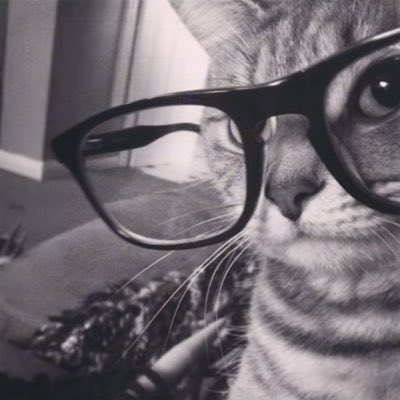 glarkss's tweet photo. #NewProfilePic https://t.co/rOnWGGpeeM