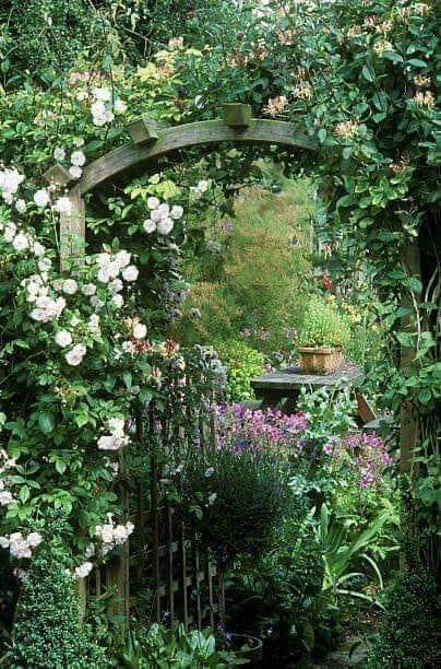 Monet's garden ' Giverny ' France