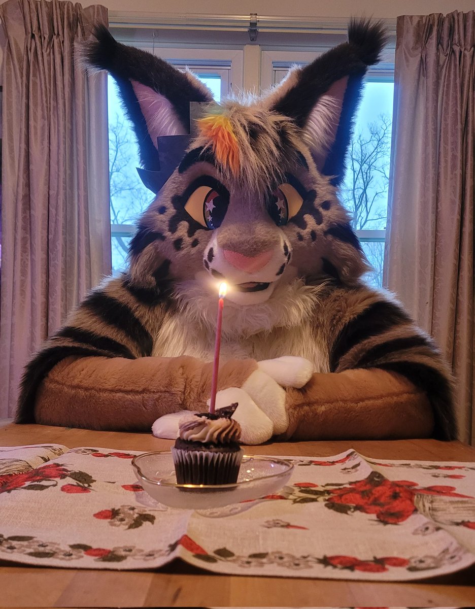 What's a birthday without a little cake??? 📷 @EctoBarks