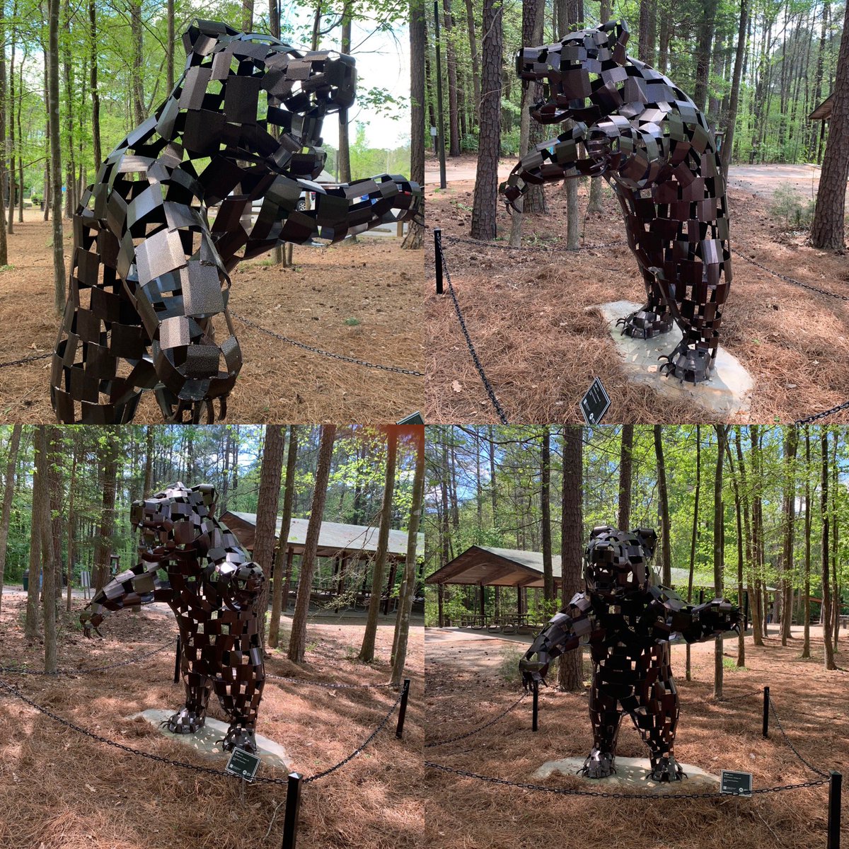 Jager has found a forever home at the Apex Community Park!  It is a phenomenal park for outdoor enthusiasts and a big thank you to the Town of Apex for the purchase and support!  #tjcdurham #townofapex #artforall #animalawareness #sculpture #endangeredspecies #ncartist #durhamnc