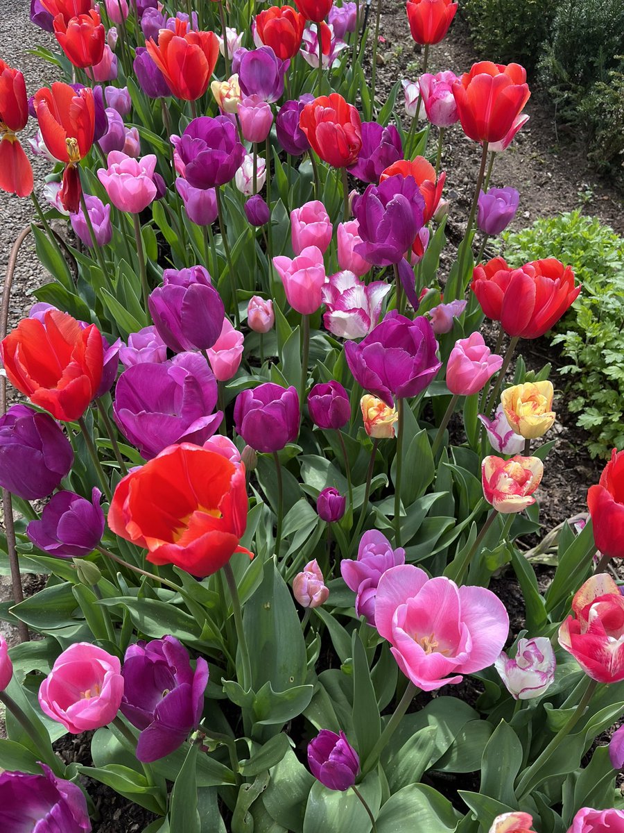 Paula James tweet media