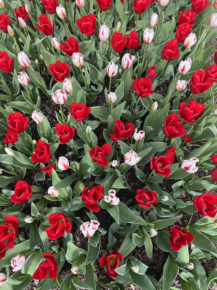 Paula James tweet media