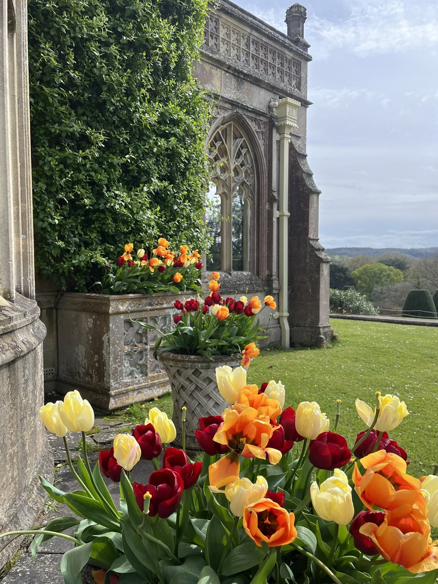 Paula James tweet media