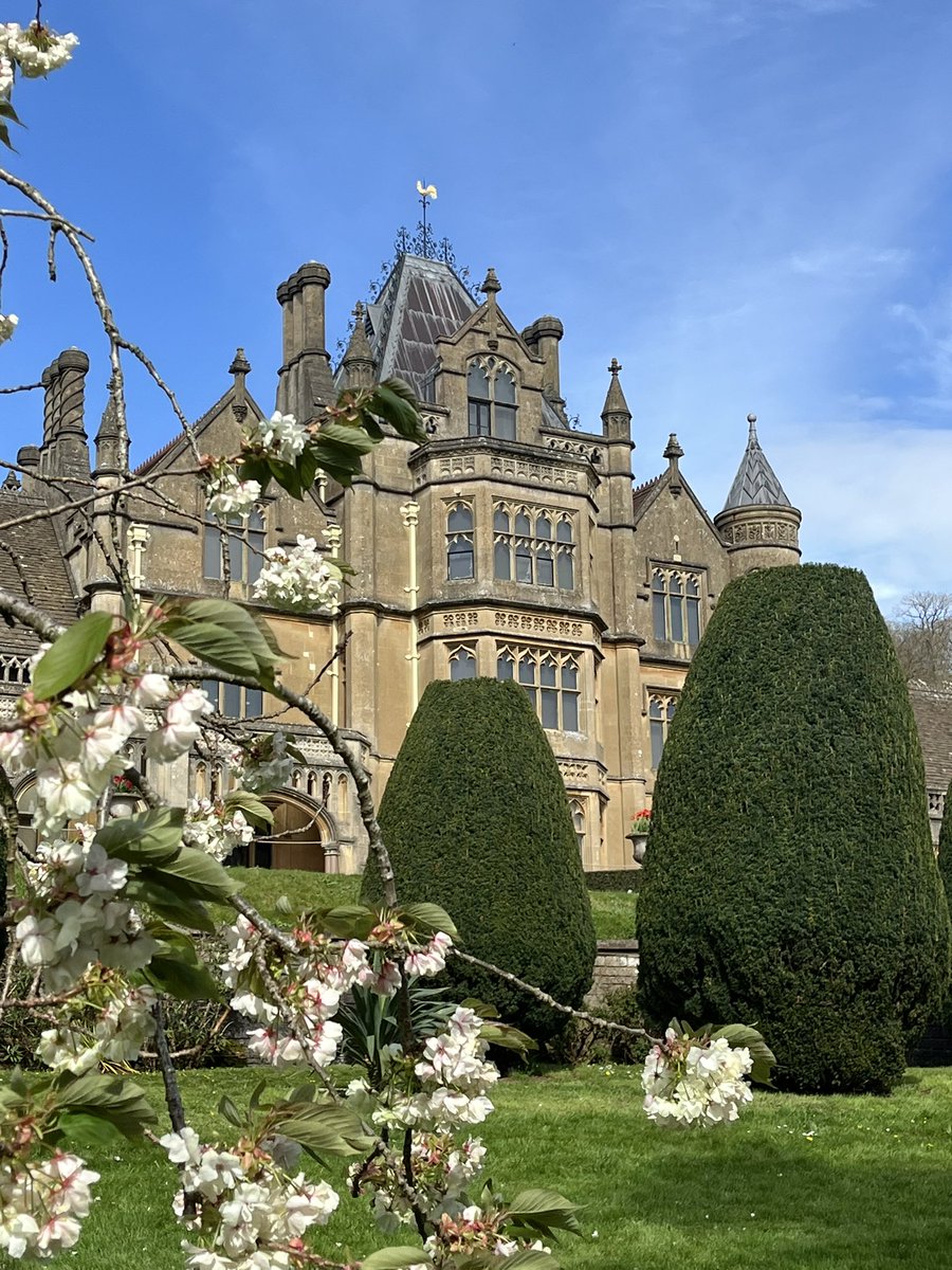 Paula James tweet media