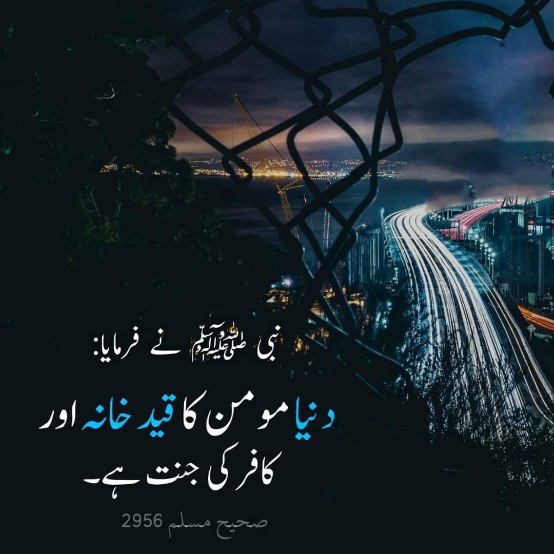 السلامُ وعلیکم ورحمتہ اللہ وبرکاتہ ❣️
🌺صبح بخیر 🌺