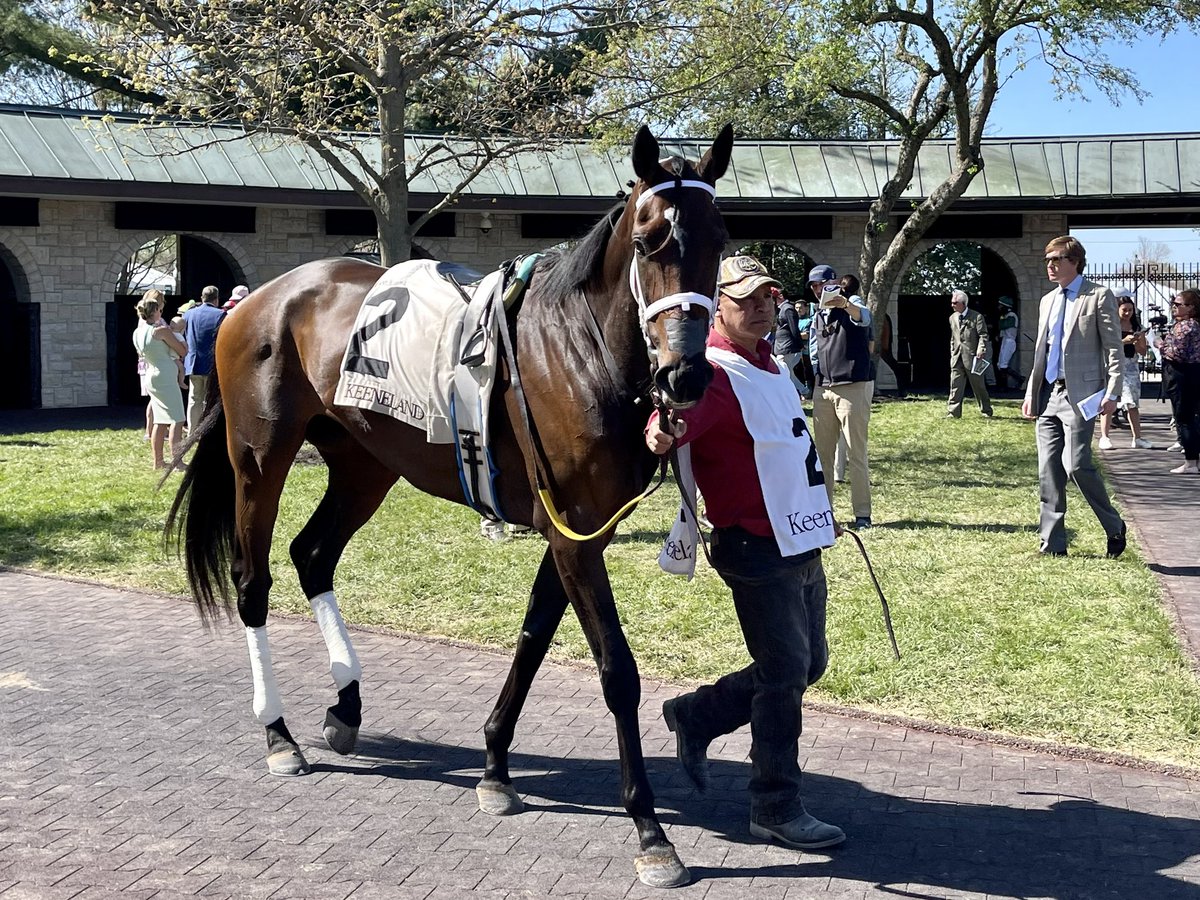 Ramsey_Farm tweet picture