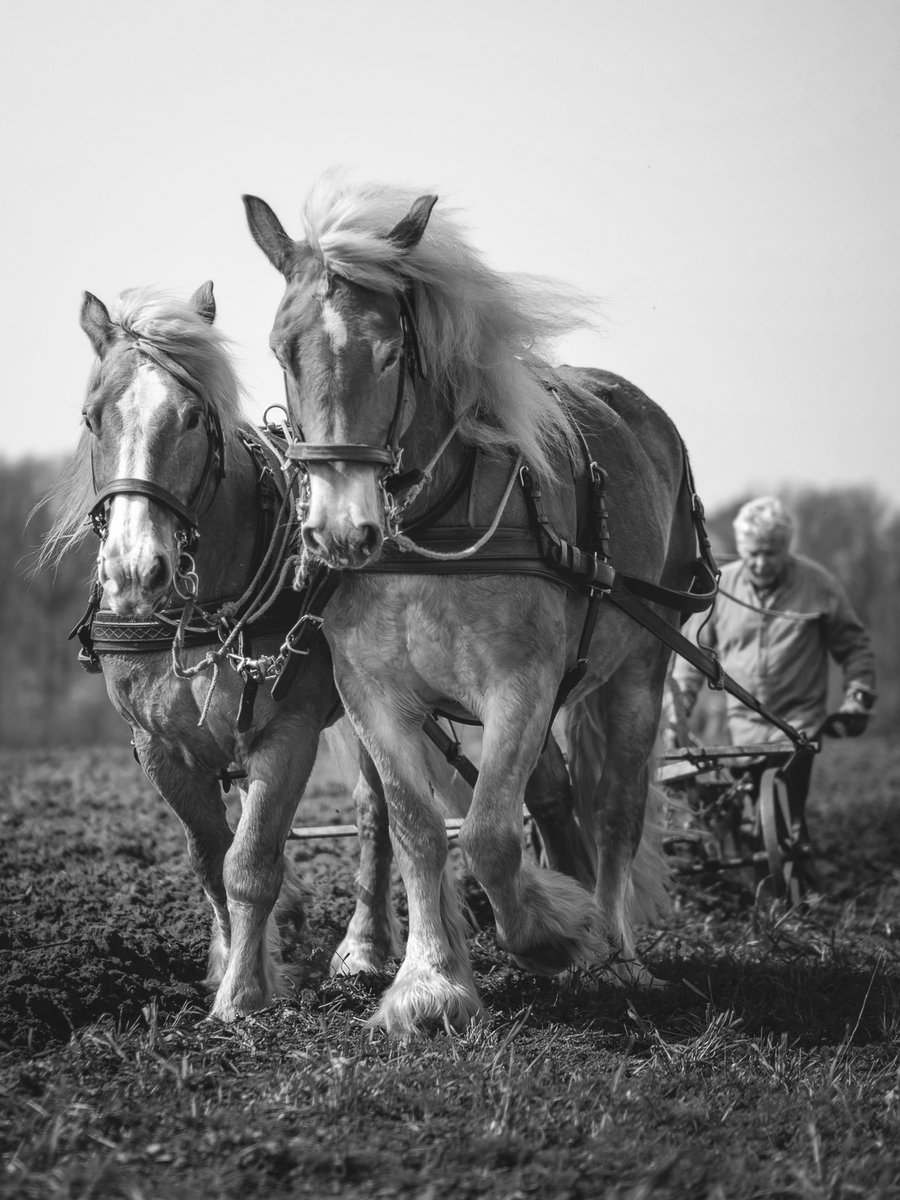 PouwelJansen's tweet photo. @Matt_Pinner https://t.co/LbMWB7QjaG