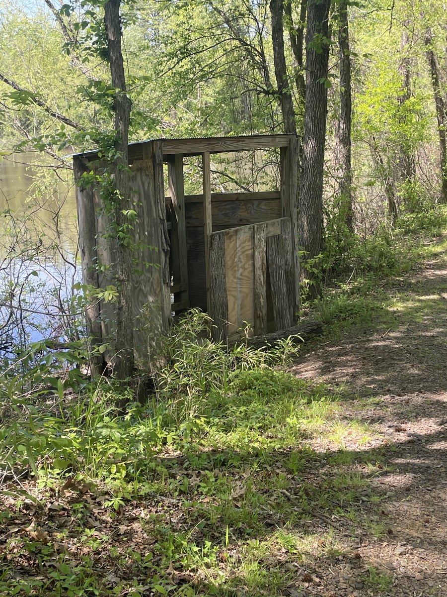 Amy78102559's tweet photo. #arkansas #duckblind #nature #backroads #jeep https://t.co/xVtNOj85d1