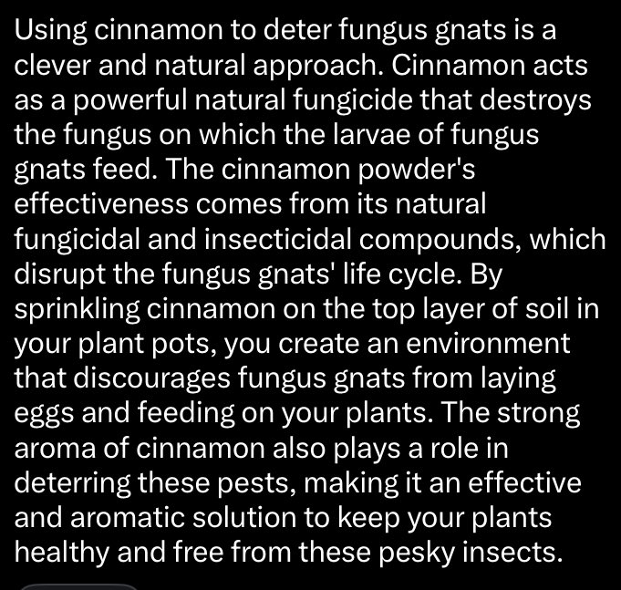 If you have any issues with fungus gnats, here’s your cure . Some soils come with gnat eggs and this works  as prevention. #Growingorganicweed