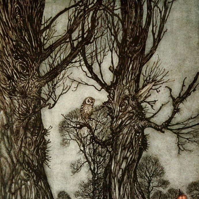🌿🦉🌿an owl chatting with a tree - by Arthur Rackham #OwlishMonday