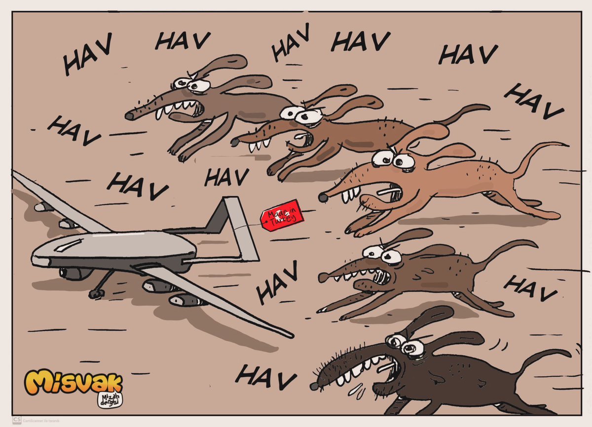 wolf tweet media