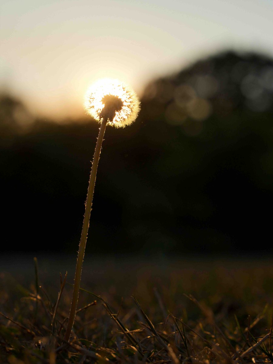 May you be reminded that the morning light will bring a fresh gift of hope and a new opportunity to experience the grace and goodness of God. Whatever you have had to face today and whatever lies ahead, remember that God will not walk away from you. He is faithful. #niteblessing