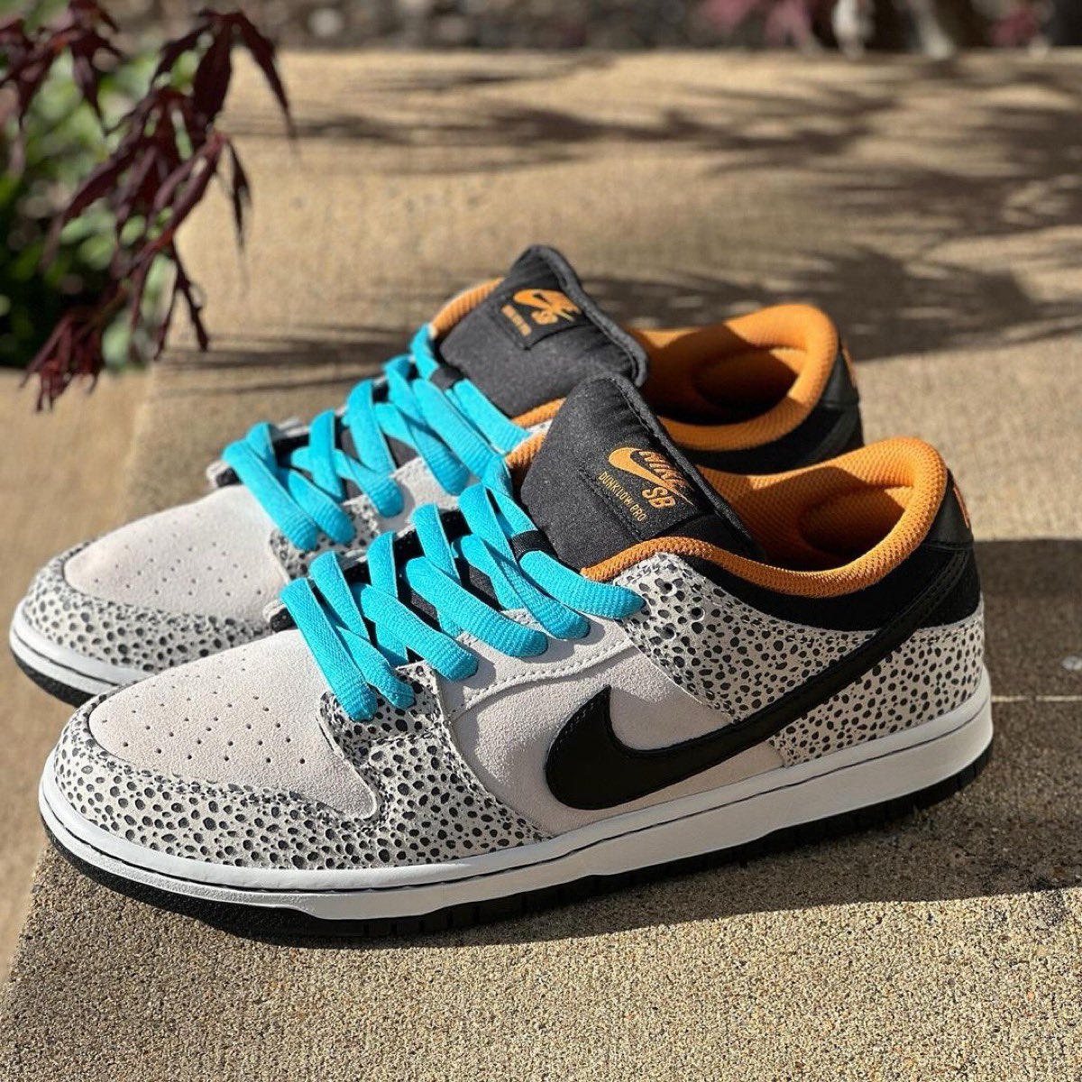 Nike SB Dunk Low Pro Safari “Olympics”📸: chriscolgan（IG