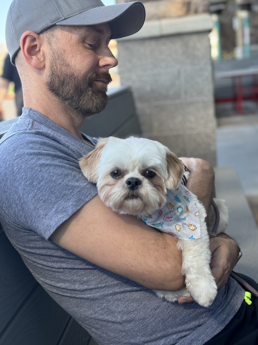 Richard living his best life after his spa treatment <a href="/PetSmart/">PetSmart</a>! Thank you Krissy at the Mayo store in Scottsdale! One of five people I would trust with this lil guy! #petgrooming #petsmart #Coachella