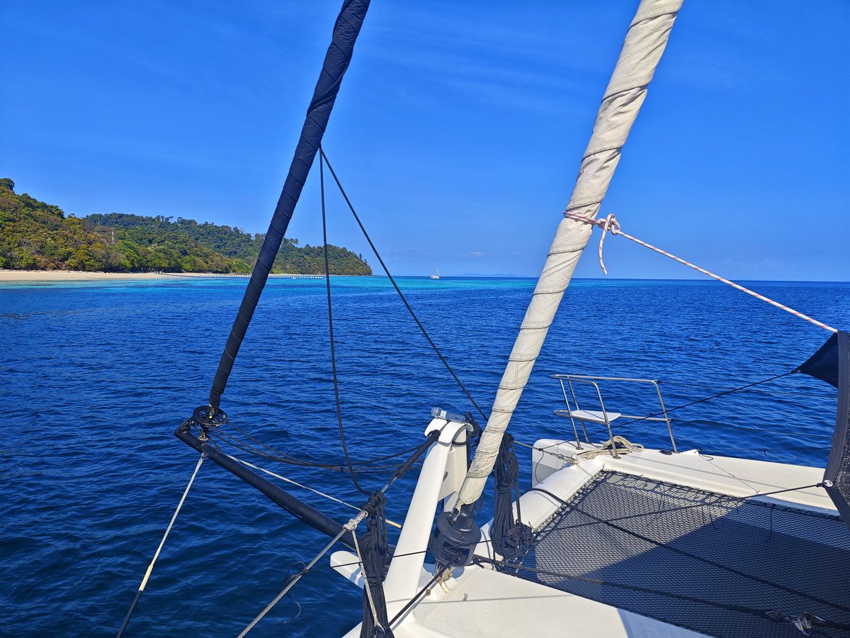 🔪 American McGee 🖤 tweet media