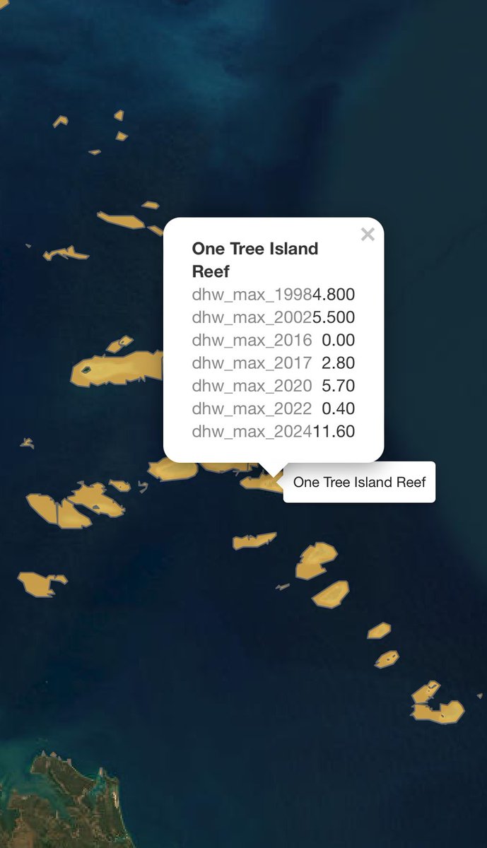 Interactive spatial maps of the 2024 mass coral bleaching event on the Great Barrier Reef: track patterns of thermal exposure (DHW) for any reef on the GBR: marine-ecologist.github.io/GBR-coral-blea…