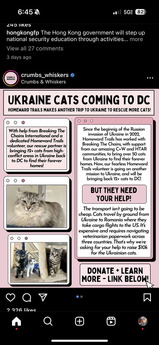 DC cat cafe @Crumbs_Whiskers has nearly 50 Ukrainian rescue cats coming over that need new homes. instagram.com/p/C5rM98Cv6QJ/…