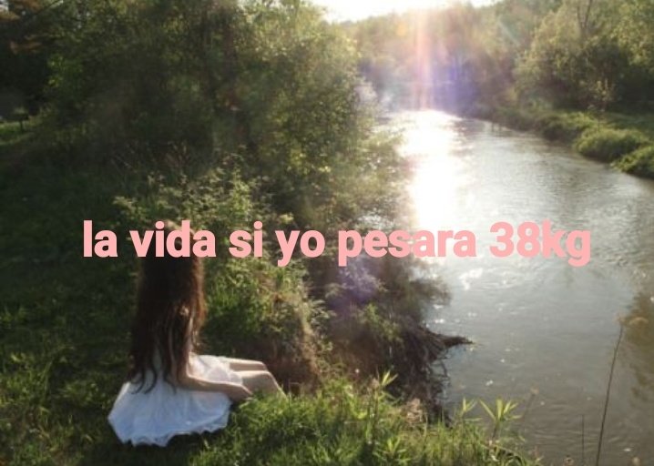 inpija's tweet image. 