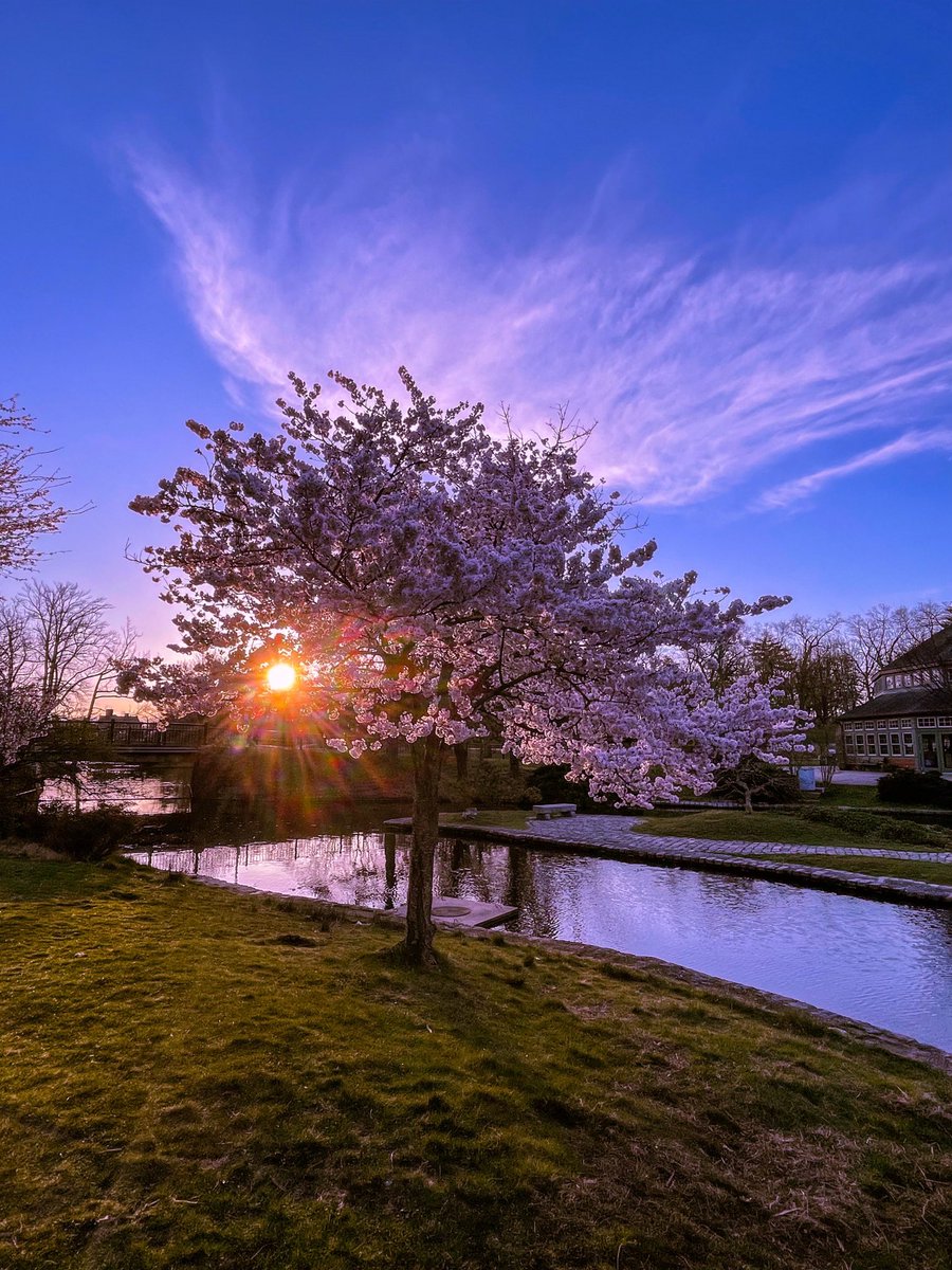 RWPConservancy's tweet photo. Sunday Spring Sunrise in Roger Williams Park.
#jewelofpvd #pvdbackyard #RWPC
Photo credit our very own @JRam9808 https://t.co/aqXZo5ro0M
