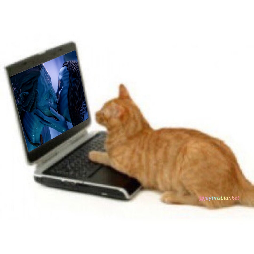 how am i spending my day