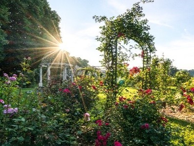 Lyndhurst Mansion is beautiful in every season, but there is something truly magical about wandering through its rose garden in the springtime. Mark your calendars for the annual flower show, 'Lyndhurst in Bloom,' returning April 20-21. 🌹 📍: Lyndhurst Mansion (Tarrytown, NY)