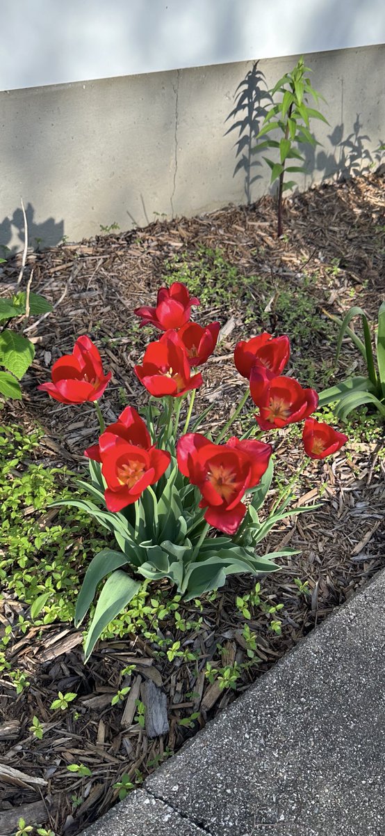 Stop and smell the flowers.