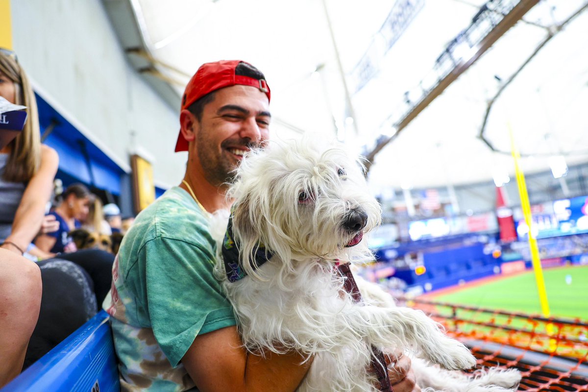 tropicanafield tweet picture