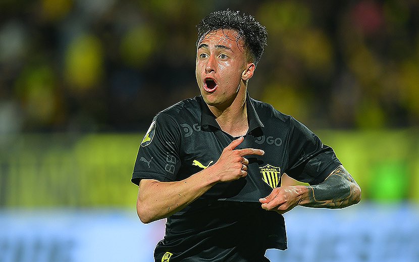 La ley del ex
Es así cepillo