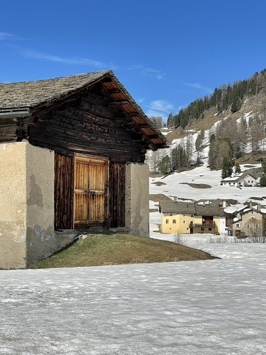 _massimomauri's tweet photo. Val Fex, oggi.
#ValFex #Sils #Engadin @MySwitzerland_i https://t.co/uwfZqipT00