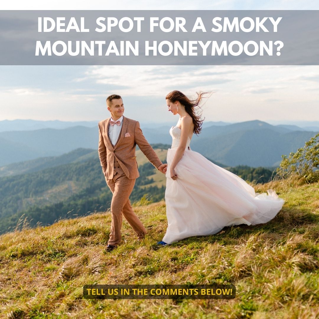 LovinLifeSmoky's tweet photo. Ideal spot for a Smoky Mountain honeymoon? #LovinLifeintheSmokies #LLIS #SmokyMountains https://t.co/t7tAZe0Fwg