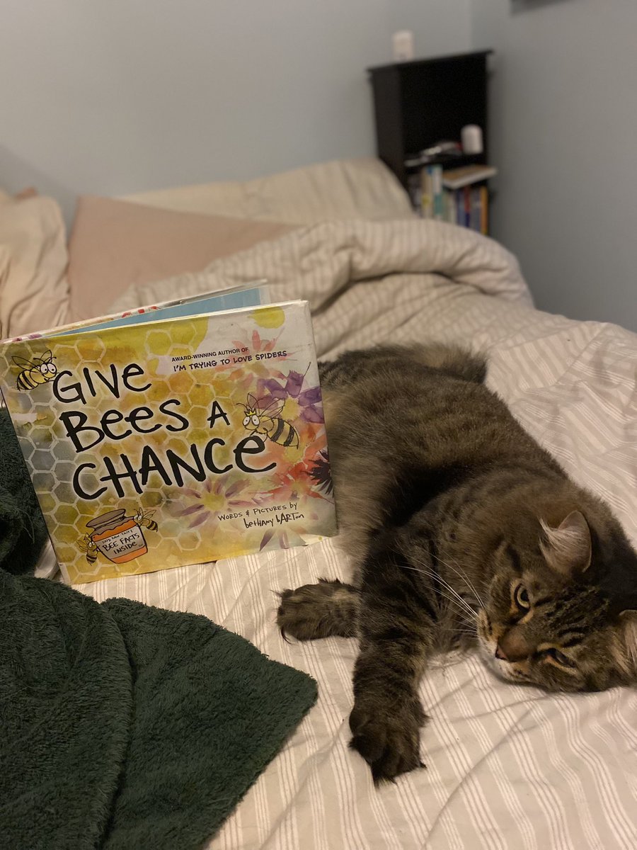 K & Archie, Alec, Declan & Saoirse tweet media