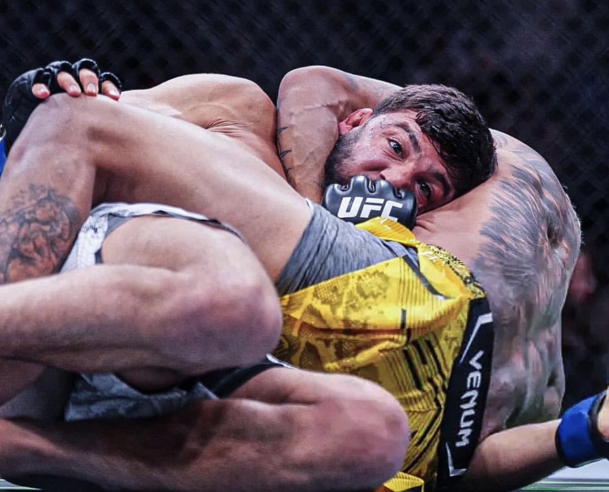Drea_MMA's tweet photo. We still love you🦁 @CharlesDoBronxs
#UFC300 #ForeverFans https://t.co/2bBqyKqHuQ