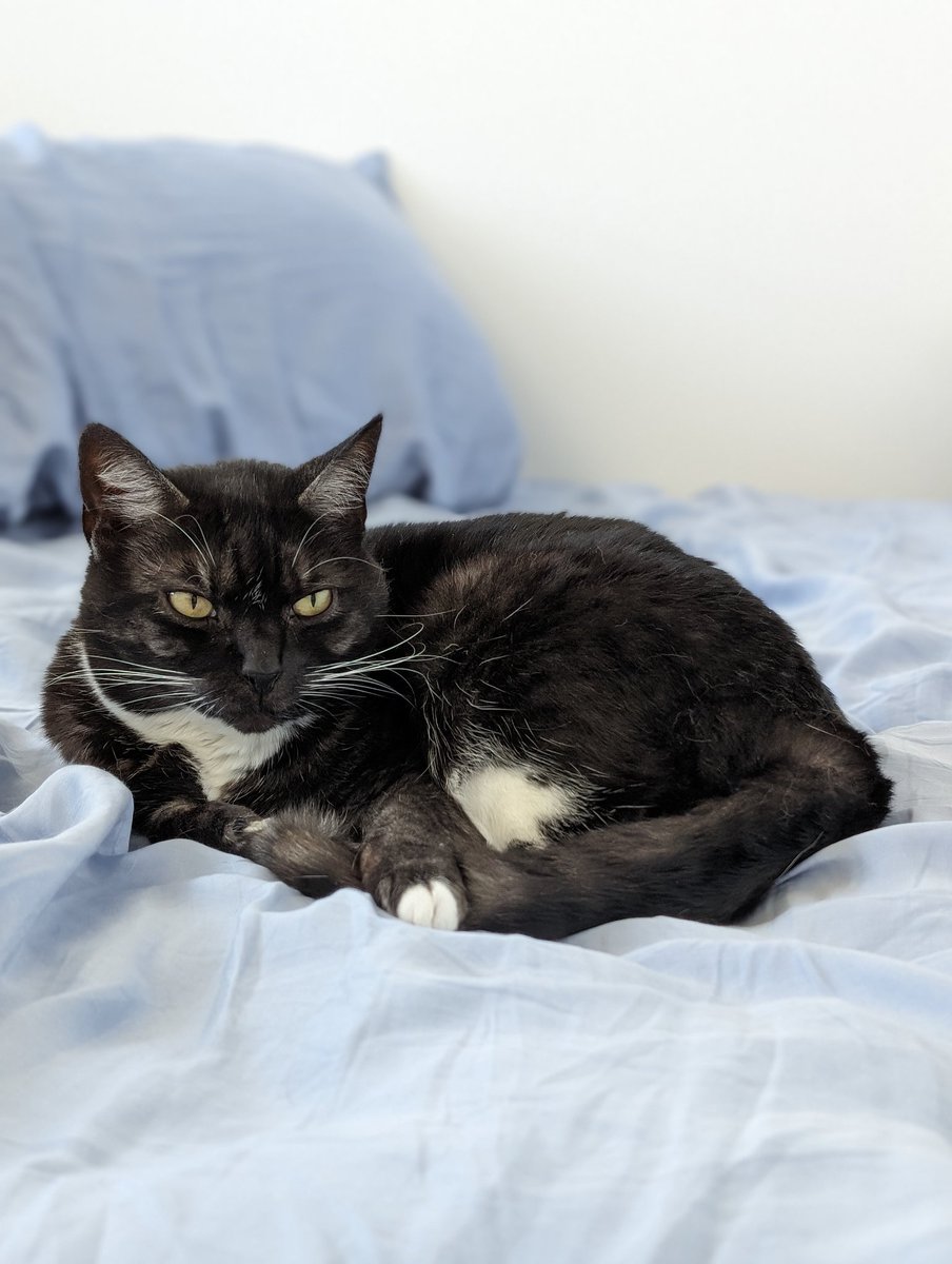 <a href="/IanColdwater/">IanColdwater</a> I once tired to explain to the vet why I named my cat /etc/

My cat's name on the vet records still ended up being "Etsy"