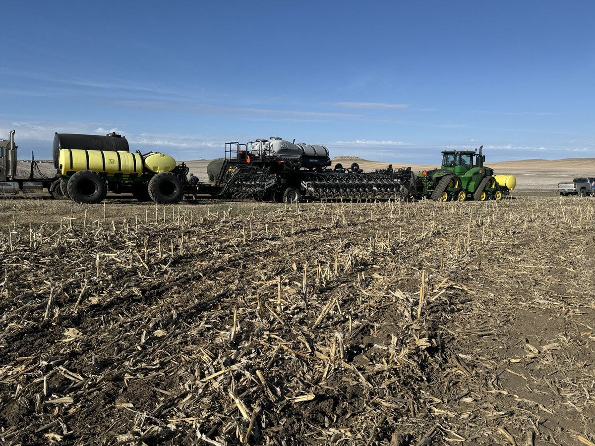 Travis P. Messer tweet media