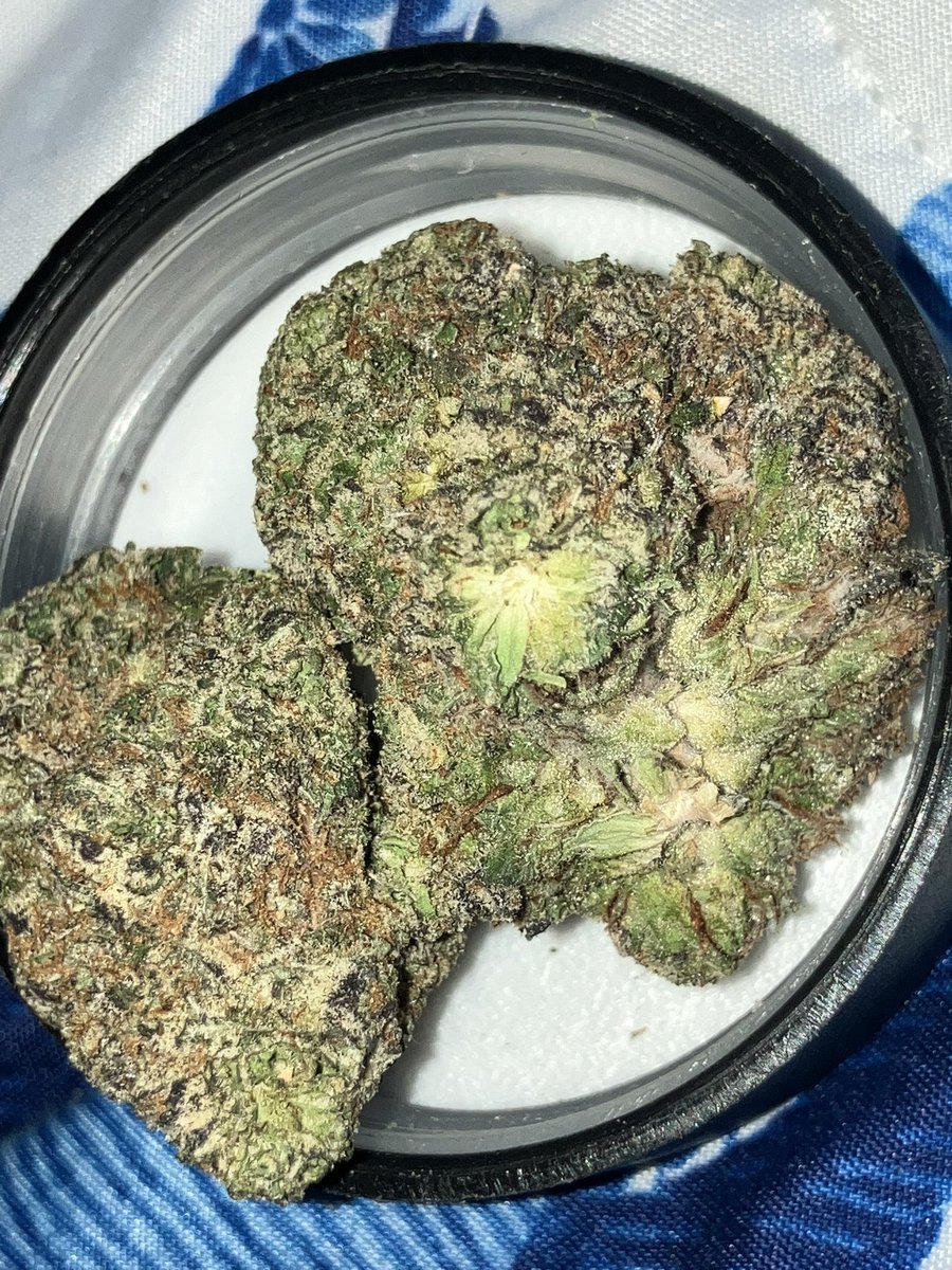 This gelato runtz is slapping right now. It’s got me faded lit 😮‍💨🌬️💨🔥with a ⛽️ smell! #CannabisCommunity #cannabis #growyourmeds #420community